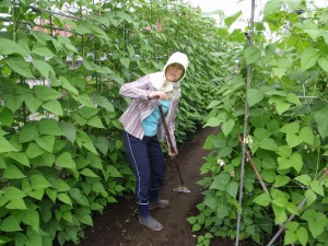 千恵子先生 草取り