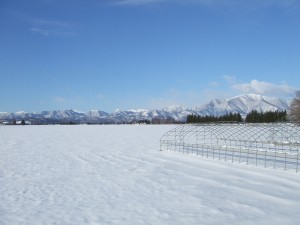 融雪前