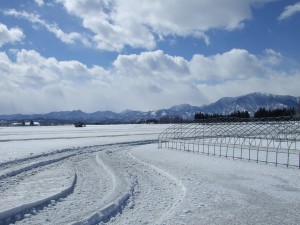 雪上車が入った融雪後